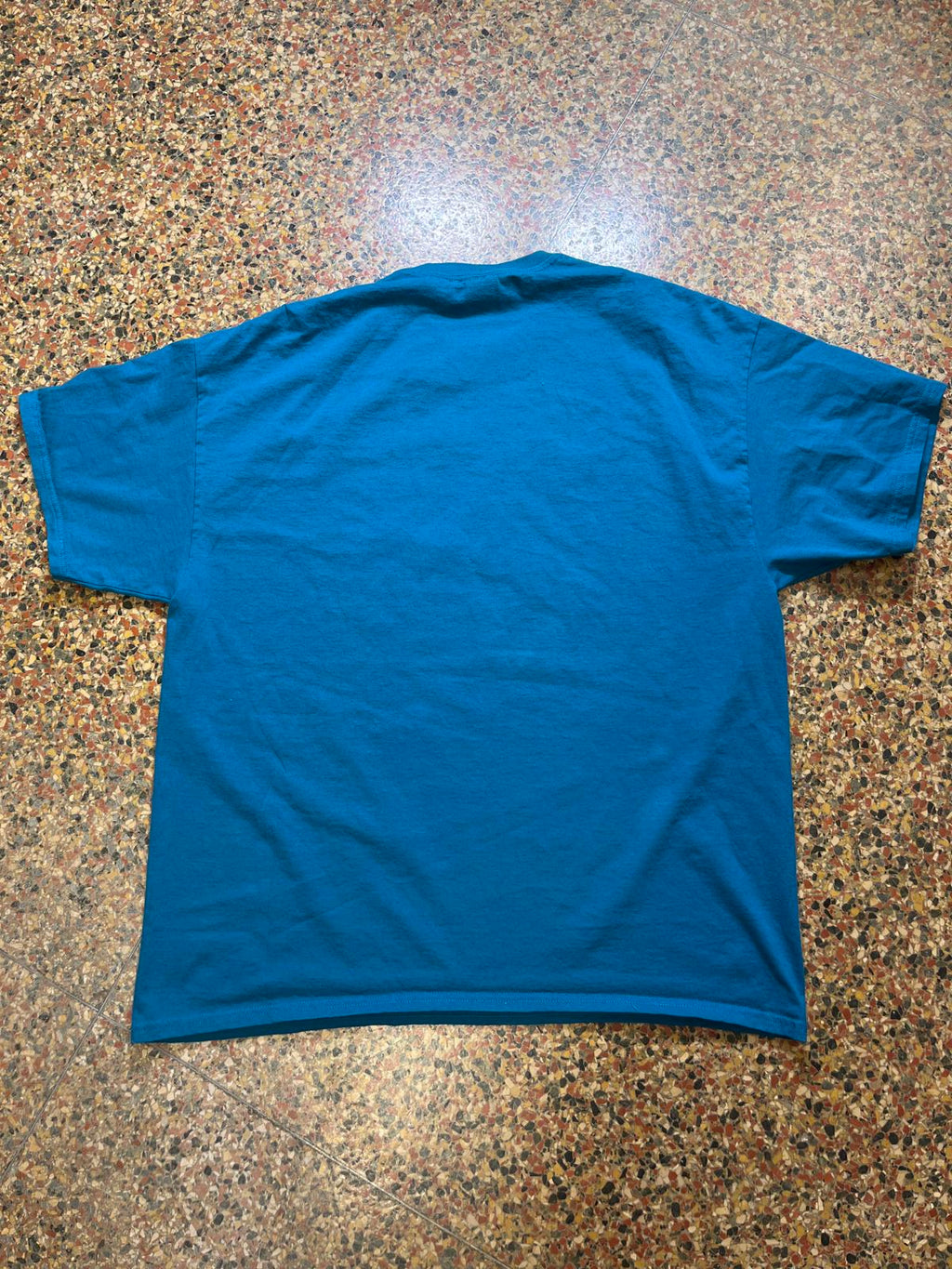The Chameleons PreOwned 2XL Band tshirt