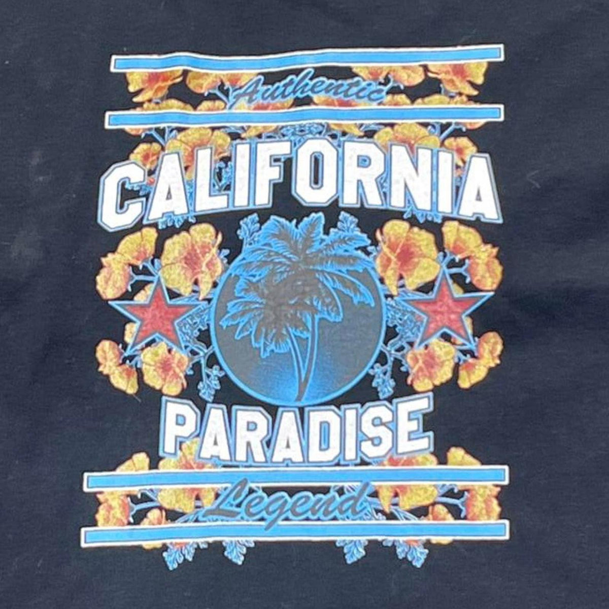 Vintage California Paradise Preowned XL T-shirt