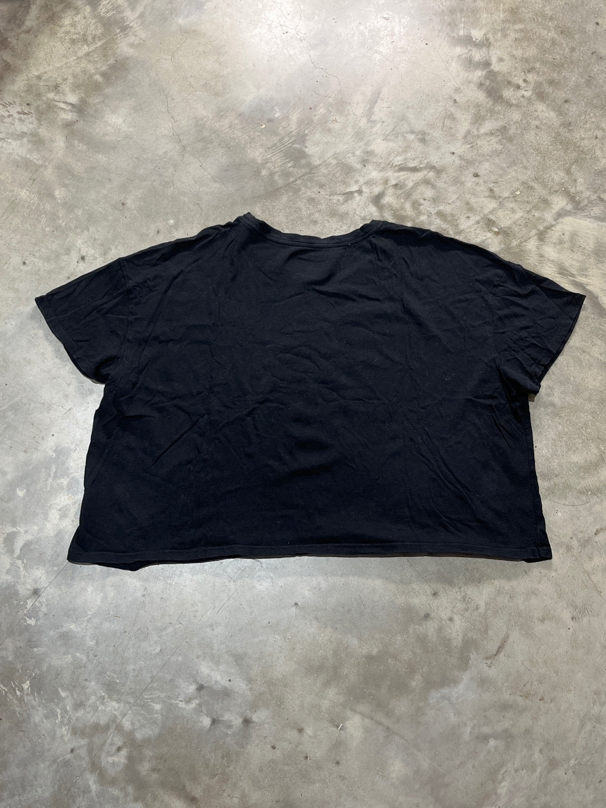 Stevie Nicks Preowned 2XL Cropped T-shirt