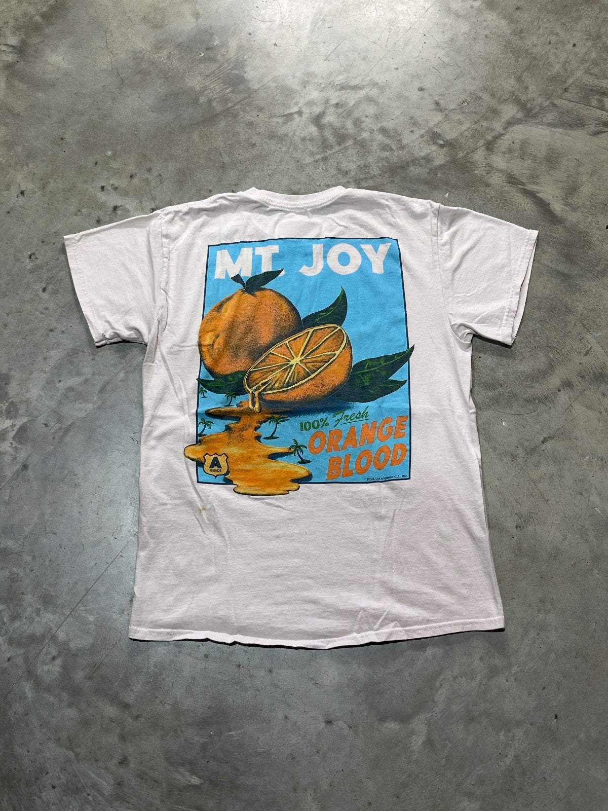 Mt. Joy Preowned Large T-shirt