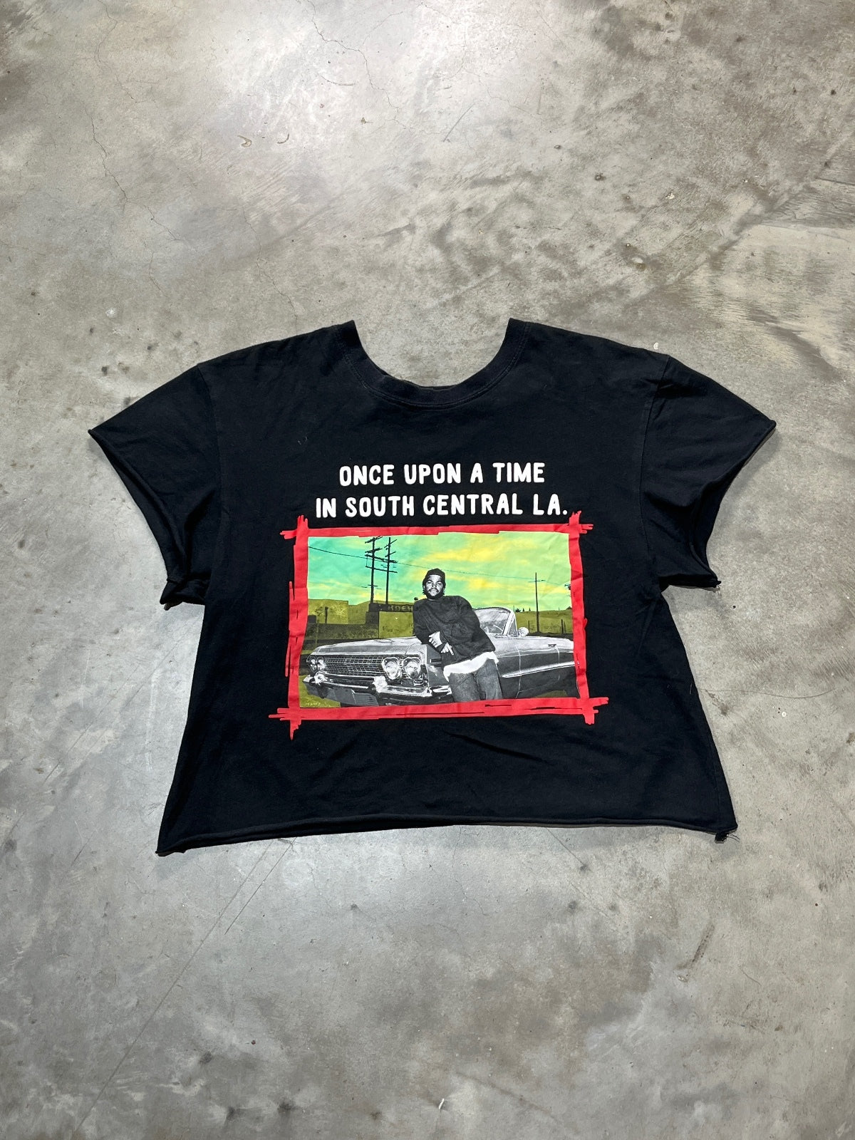 Ice Cube Preowned Medium Cropped T-shirt