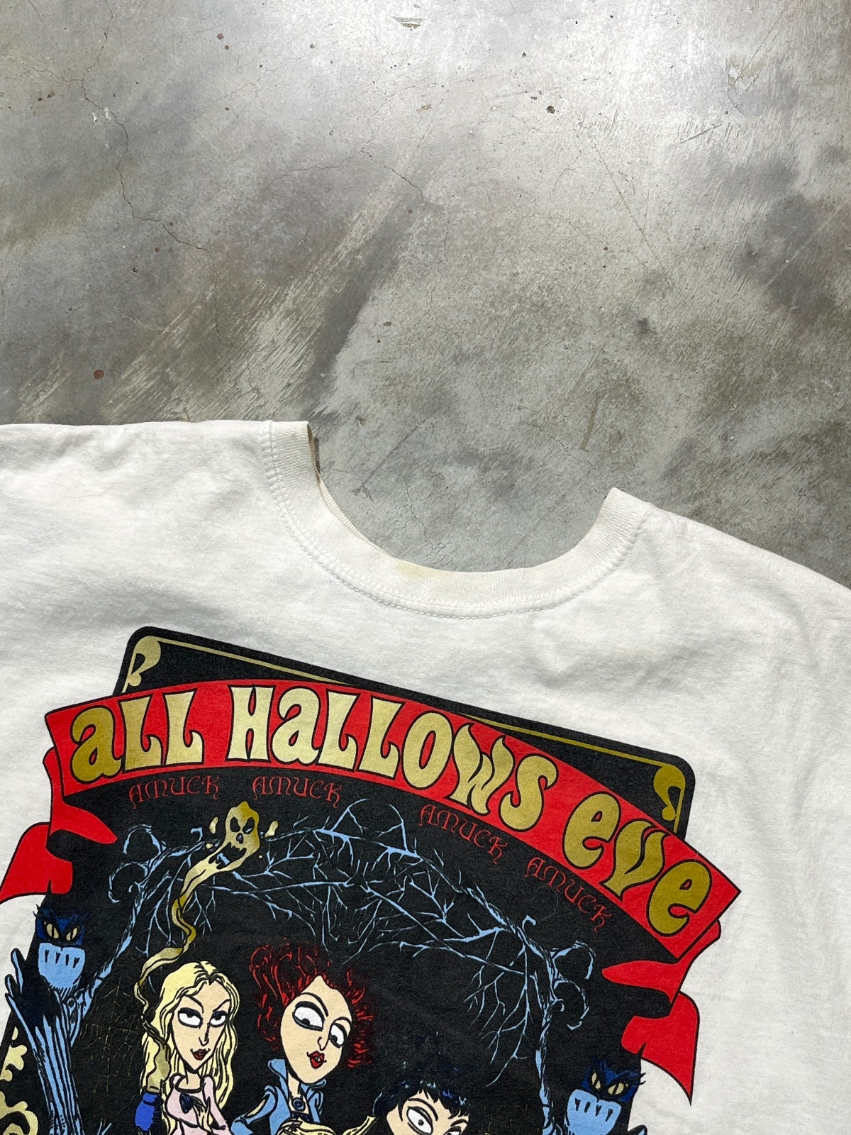Hocus Pocus Disney Preowned Medium T-shirt