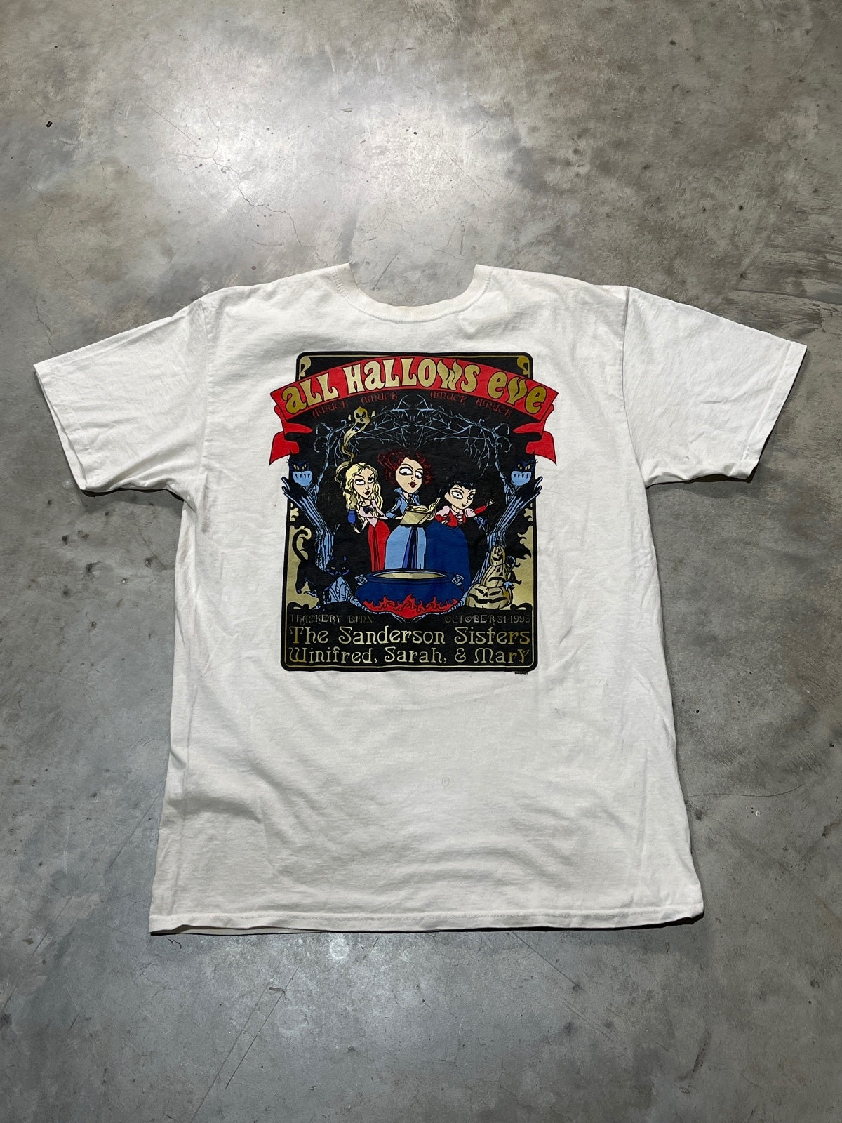 Hocus Pocus Disney Preowned Medium T-shirt