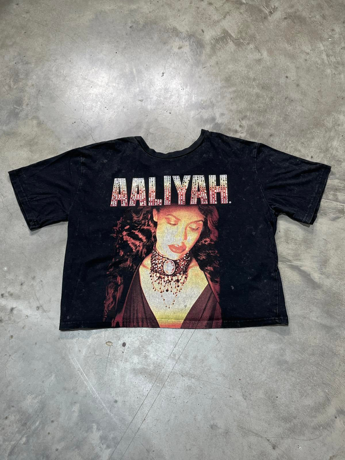 Aaliyah Preowned Large Cropped T-shirt