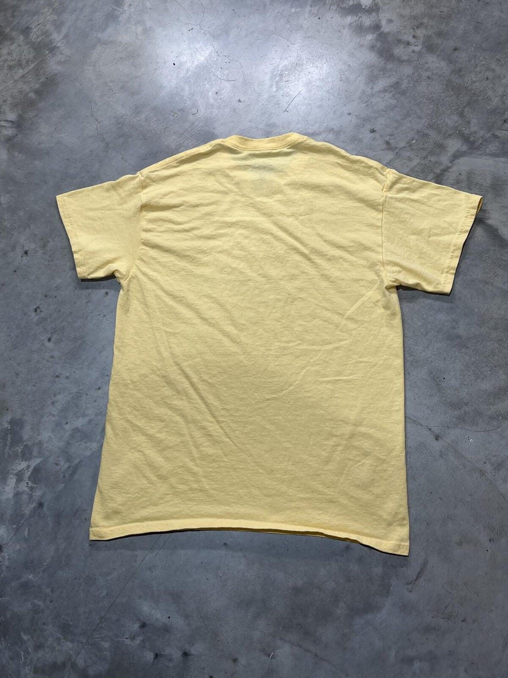 Modest Mouse Preowned Medium T-shirt