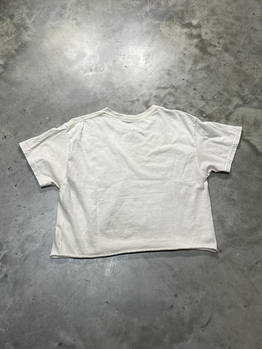 Ice Cube Preowned Medium Cropped T-shirt