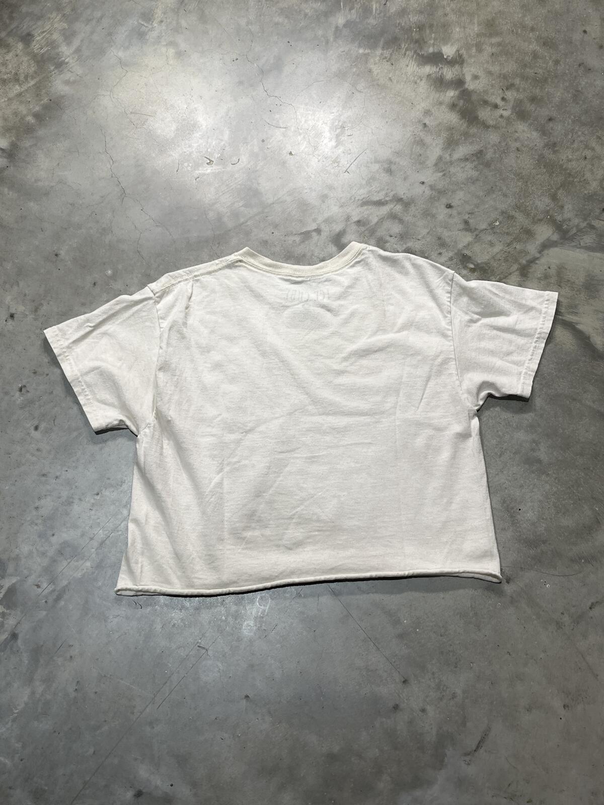 Ice Cube Preowned Medium Cropped T-shirt