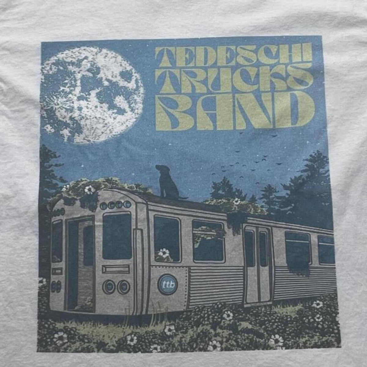 Tedeschi Trucks Band Preowned XL T-shirt