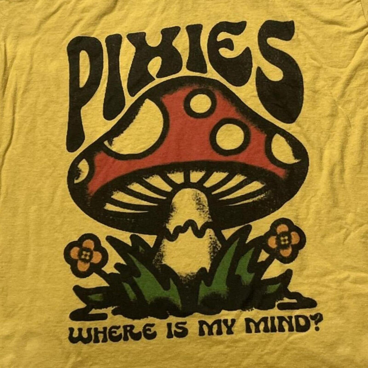 Pixies Preowned XL T-shirt