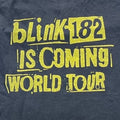 Blink 182 Preowned 2XL T-shirt