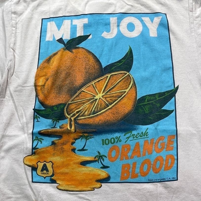 Mt. Joy Preowned Large T-shirt
