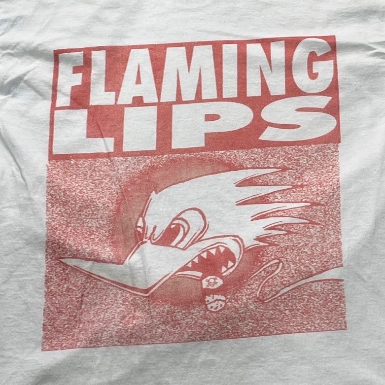 The Flaming Lips Preowned Large T-shirt