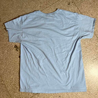 The fleshtones preowned Large Band T-shirt