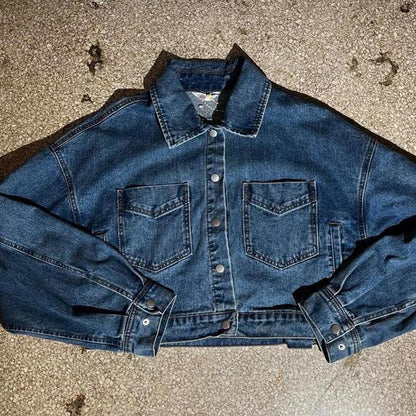 Vintage Embroidered Jean jacket