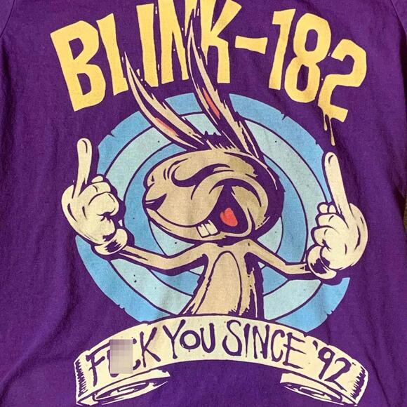 Blink 182 preowned Medium Band T-shirt