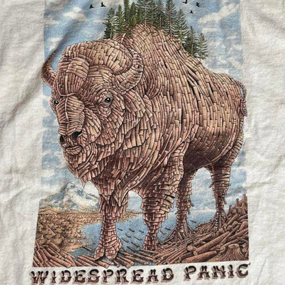 Widespread Panic PreOwned 2XL band tshirt